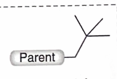 <p>Identify this branch Alkyl substituent</p>