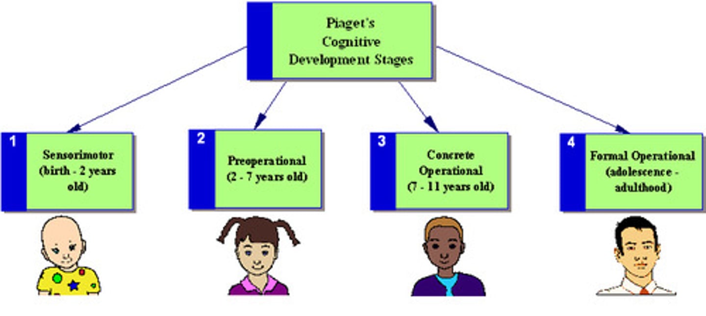 <p>The first stage in Piaget's theory, during which the child relies heavily on innate motor responses to stimuli</p>