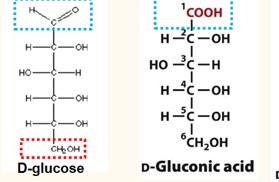 <p>Formation of Aldonic acid</p>