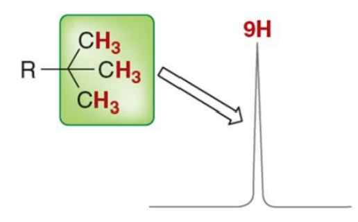 <p>Singlet of 9H integration </p>