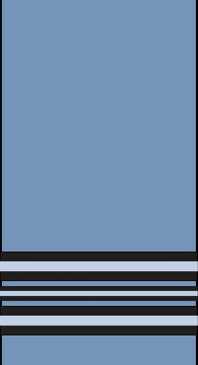 <p>Squadron leader</p>