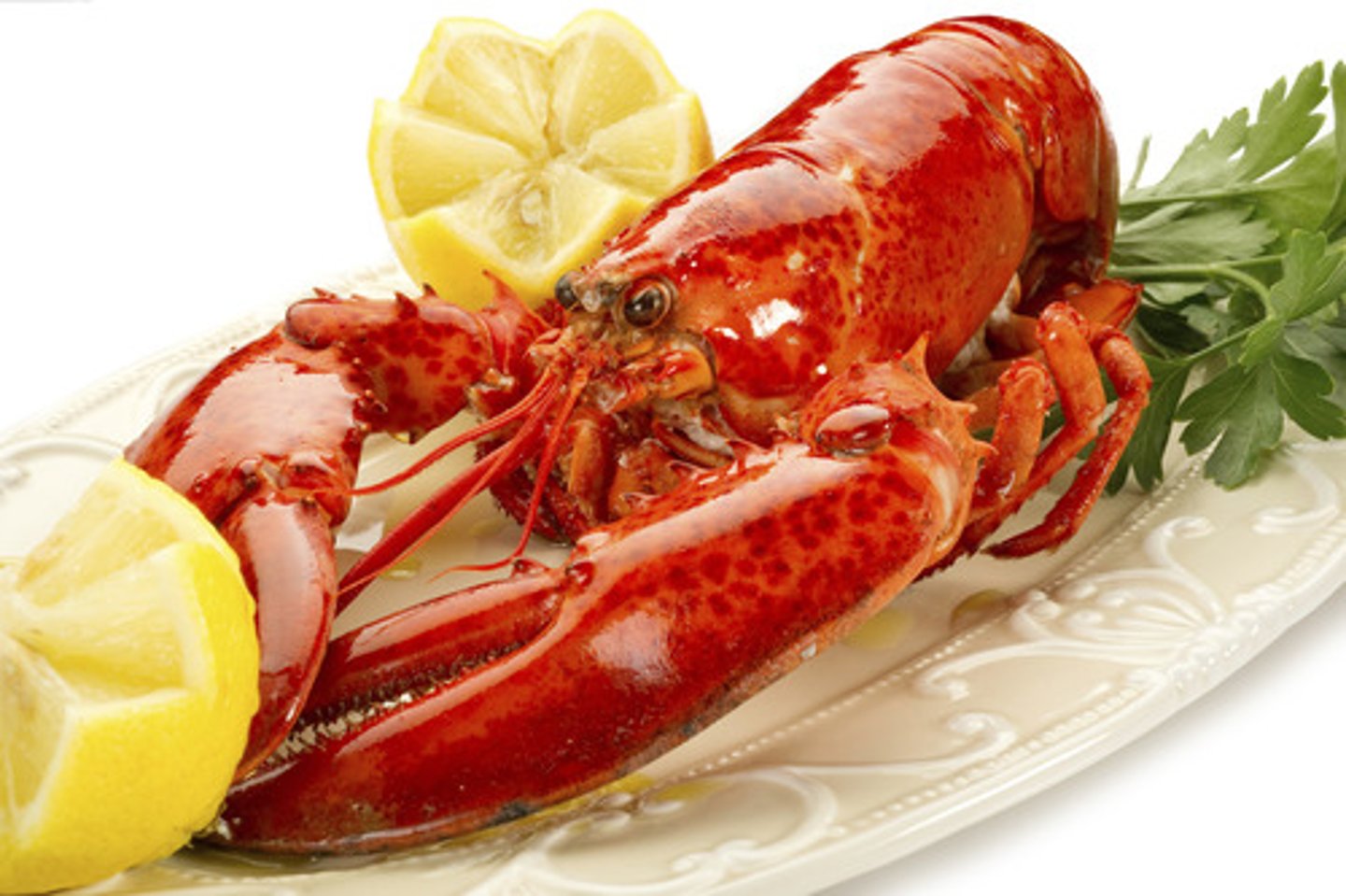 <p>lóng xiā - lobster</p>