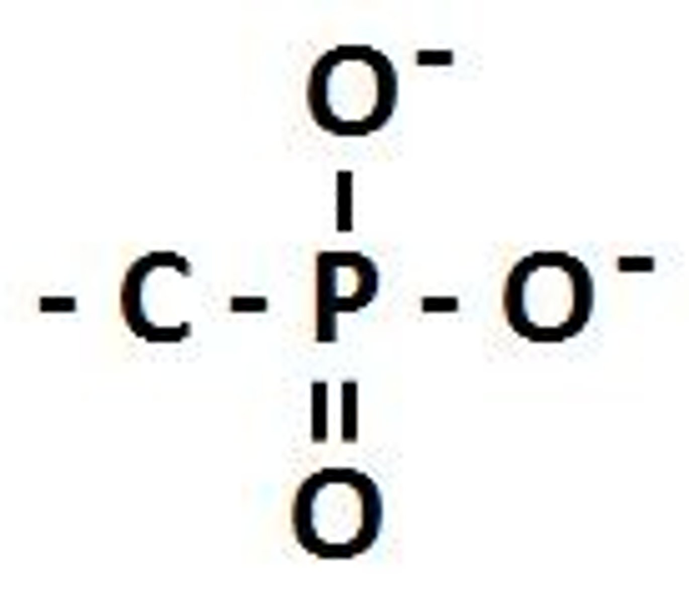 <p>The phosphate group loses hydrogen atoms to become PO4^2-.</p>
