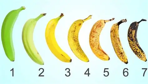 <p><span><span>promotes fruit ripening.</span></span></p>