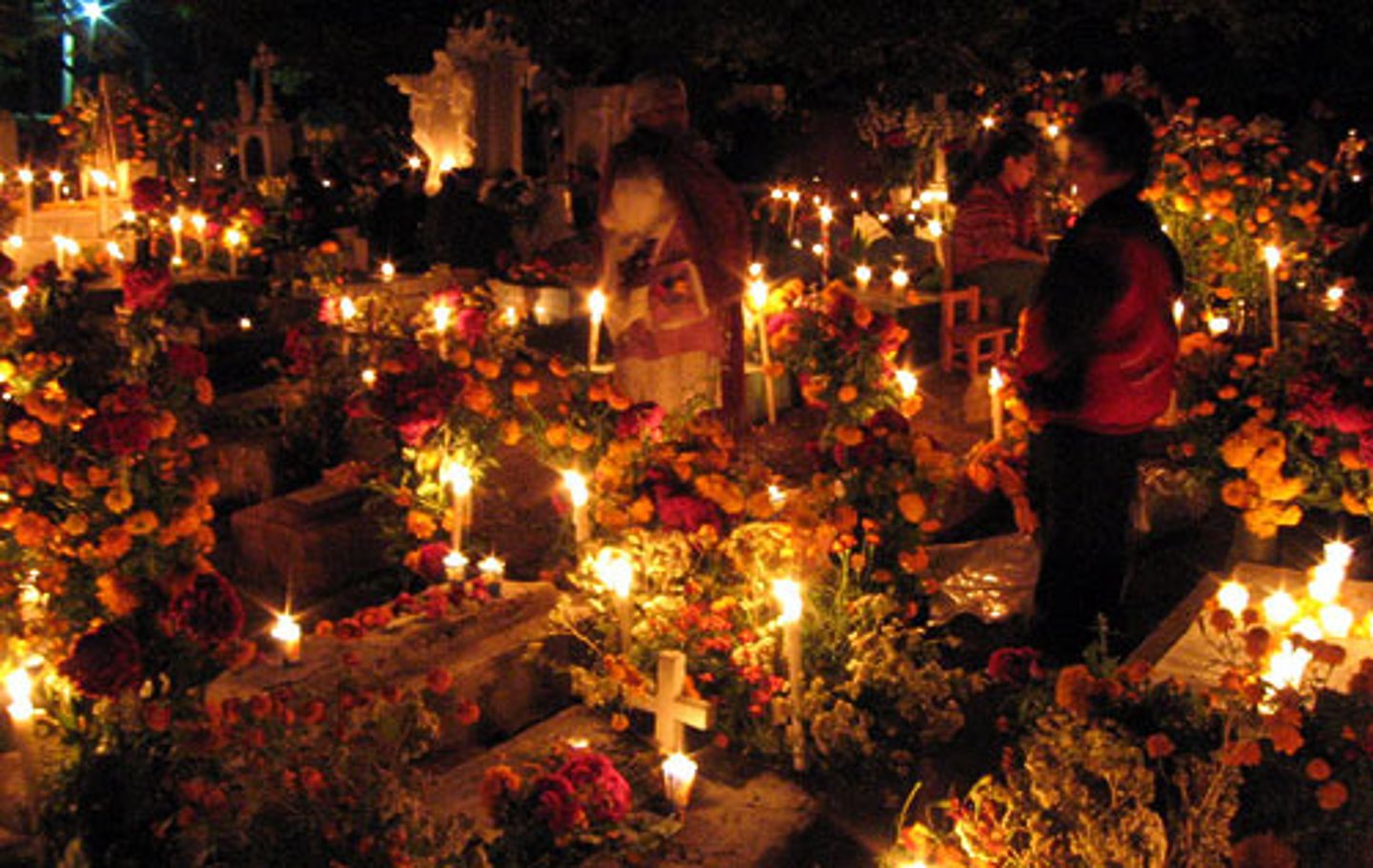 <p>they adorn,</p><p>they decorate</p>