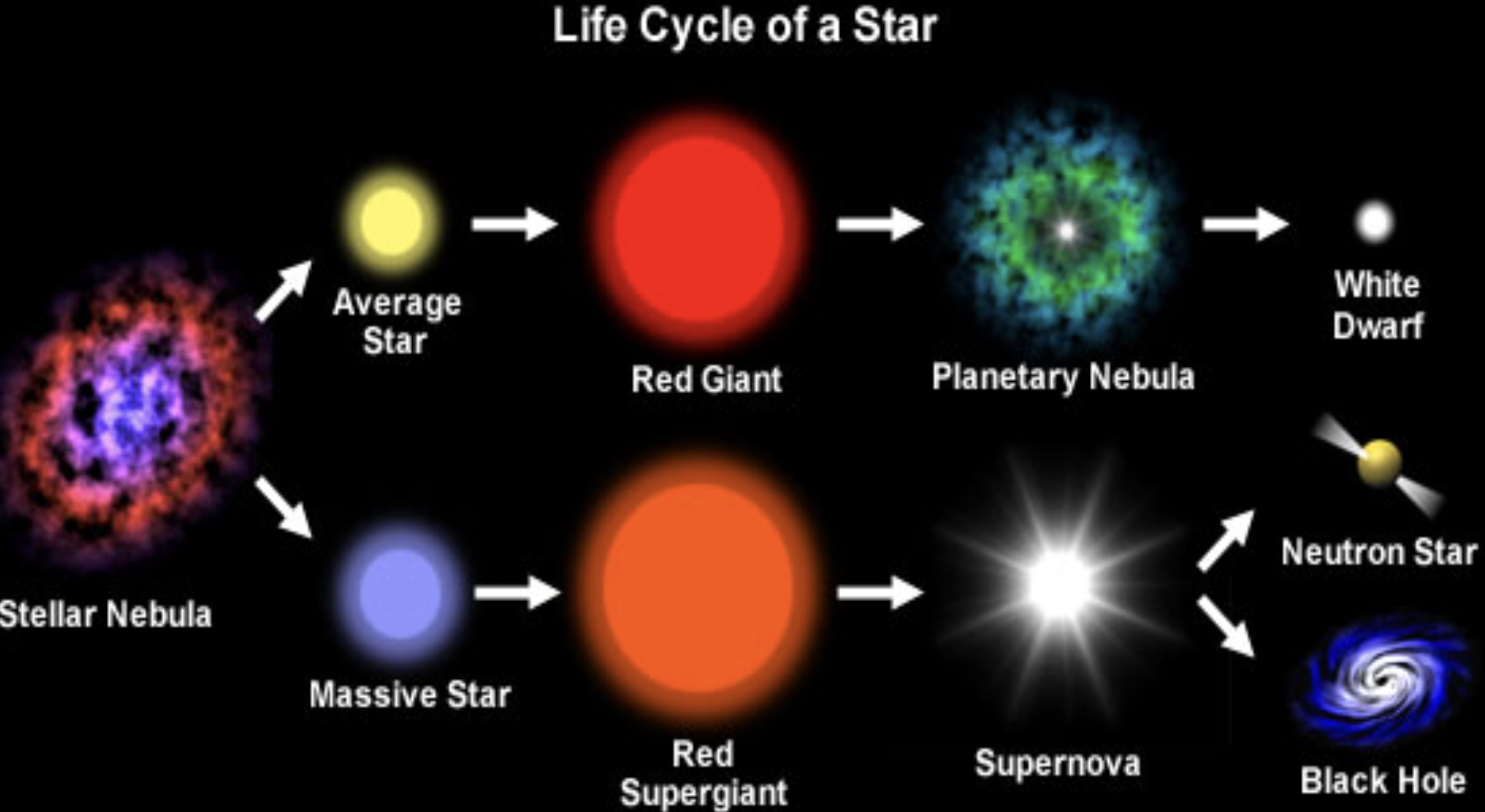 <p>stellar nebula - massive star - red supergiant- supernova - neutron star or black hole </p><p></p><p>stellar nebula - average star - red giant - planetary nebula  - white dwarf </p>