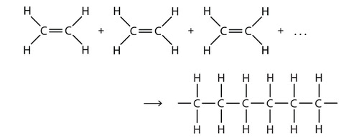 <p>A smaller unit that is the BUILDING BLOCK of a polymer.</p>