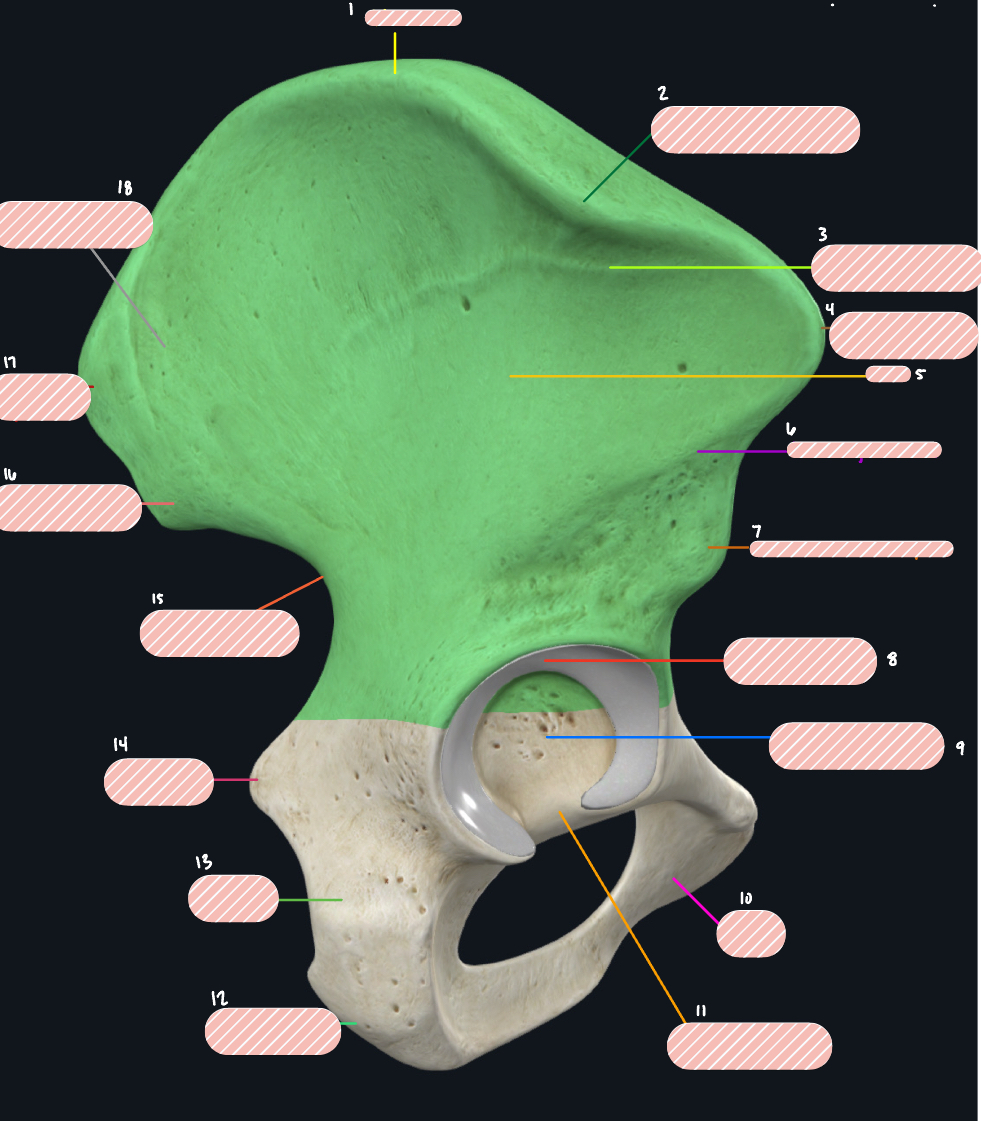 <p>Label 5</p>