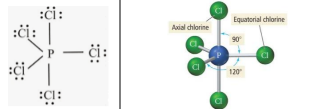  5 electron domains, 5 bonding groups, 0 lone pairs (sp3d) (120)