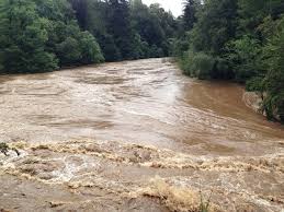 <p>factories flooded and industrial production halted</p><p>crops destroyed, agricultural losses severe</p><p>transport routes submerged</p><p>huge cleanups costs (e.g removing thick clay from fields)</p>