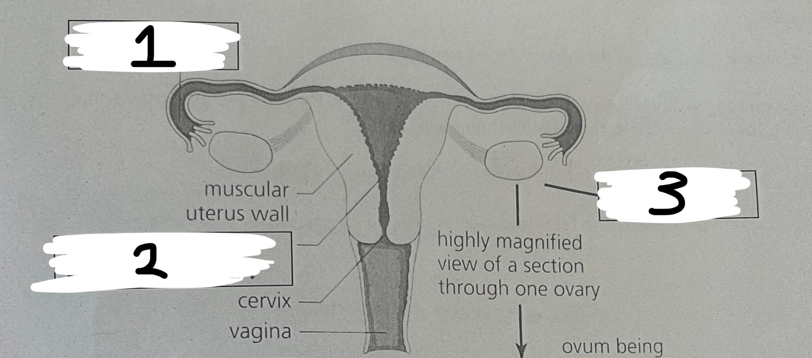 <p>Name 1,2 and 3</p>