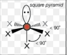 <p>square pyramidal </p>