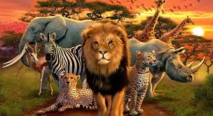 <p>N. (các loài động vật hoang dã)</p><p><span data-name="small_blue_diamond" data-type="emoji">🔹</span> I believe more should be done to protect <strong>_______</strong>, especially those facing extinction.<br>→ Tôi tin rằng cần làm nhiều hơn để bảo vệ <strong>các loài động vật hoang dã</strong>, đặc biệt là những loài đang đối mặt với nguy cơ tuyệt chủng.</p><p></p>