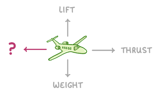 <p>Which force is indicated by the red arrow in the diagram?</p>