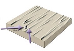 <p>Wind: Type of Sand Dune</p>