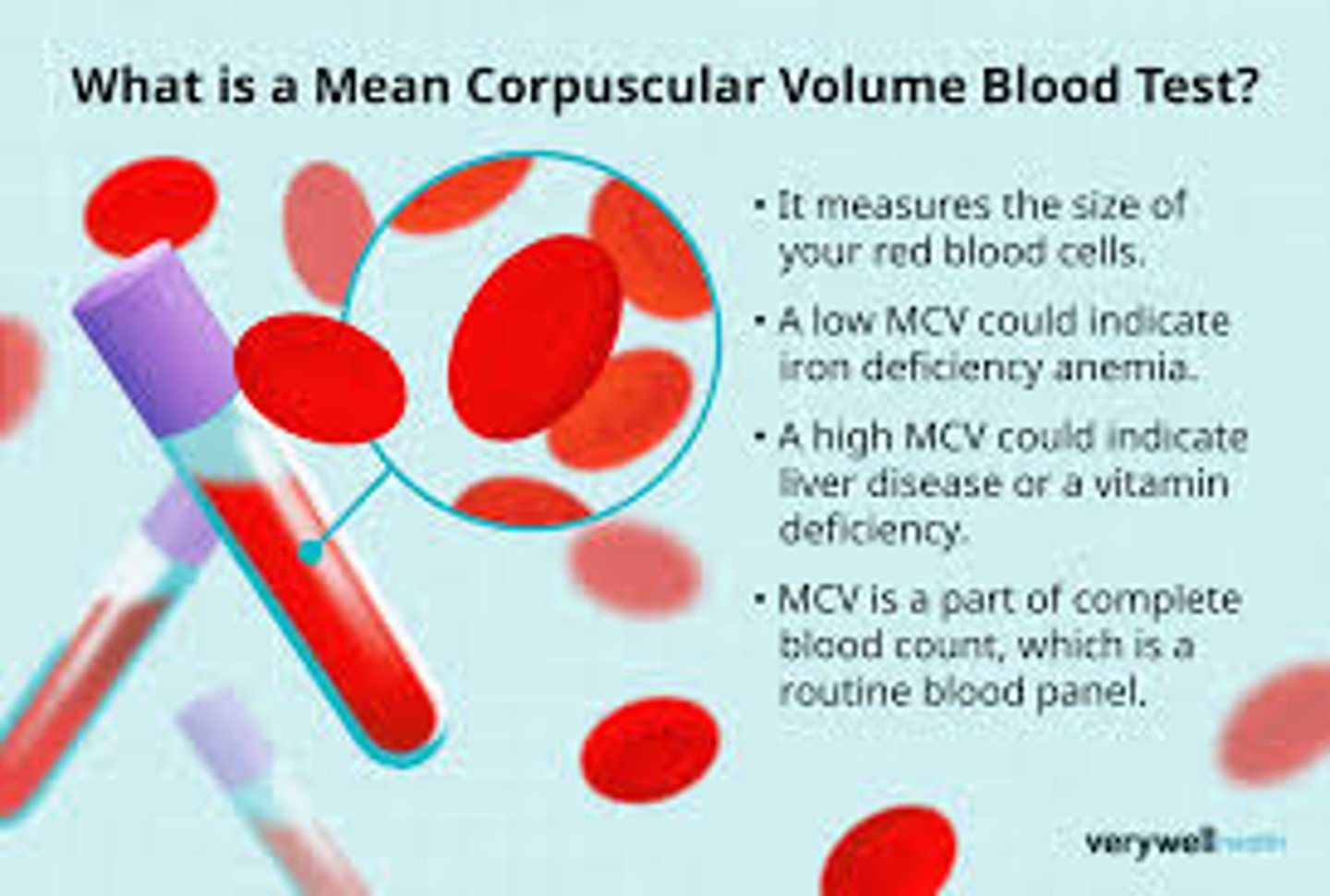 <p>Avg RBC size</p><p>- microcytic vs macrocytic</p>