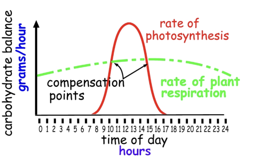 <p>what is a compensation point </p>