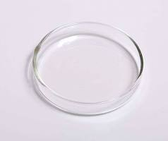 <p>A shallow dish used to hold or observe small samples.</p>