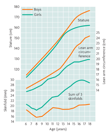 <p>mostly in physical growth</p><ul><li><p>development of primary and secondary sex characteristics</p></li><li><p>following puberty = increase in sex-linked differences</p></li></ul>