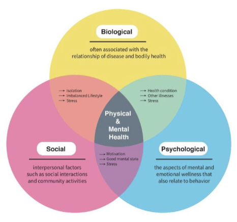 <p>health is a culmination of biological, psychological, social, and cultural interactions</p>