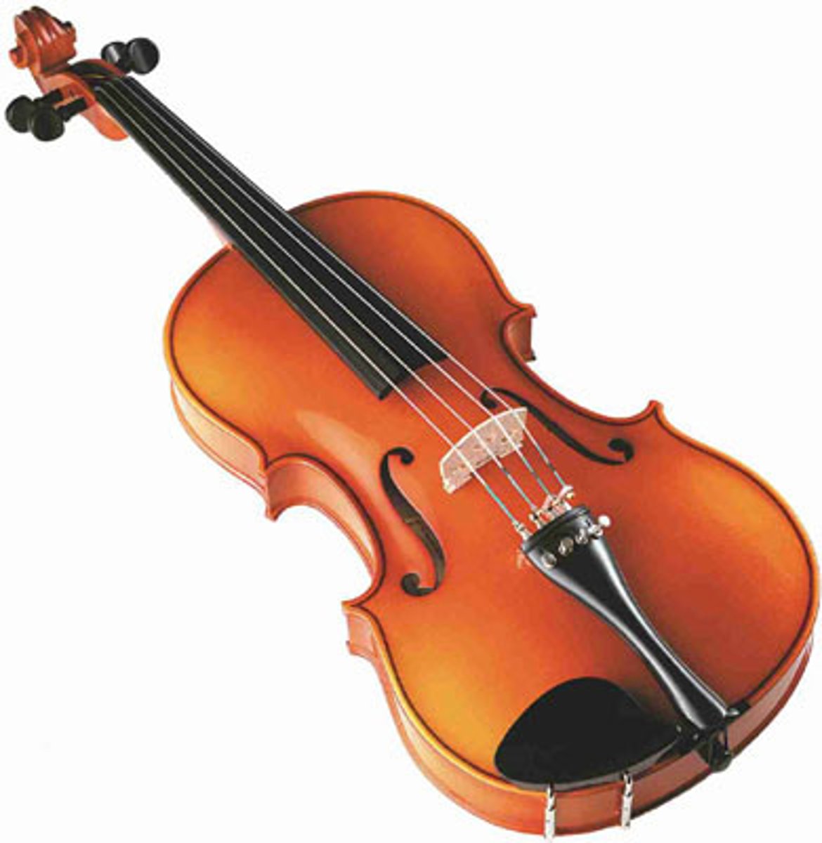 <p>the violin</p>