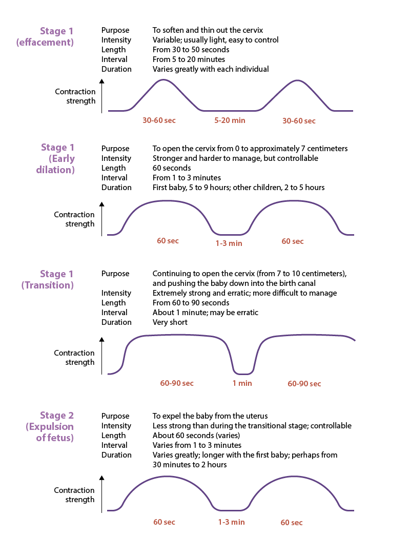 <ul><li><p>phase 3, step 1 of parturition</p></li><li><p>cervix dilates from 7→ 10 cm</p><ul><li><p>10 cm= bagel</p></li></ul></li><li><p>most intense and painful phase</p></li><li><p>contractions last 60-90 secs, very close together</p></li><li><p>fetus moves into pelvic basin, creating urge to push</p></li><li><p>ends when full dilation (10 cm) is reached→ ready for delivery</p></li></ul><p></p>
