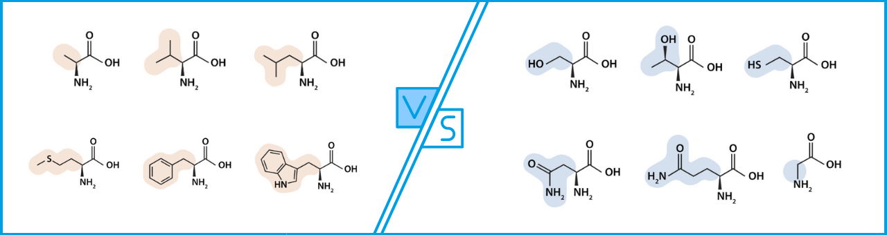 <p>partial charges can form hydrogen bonds</p>
