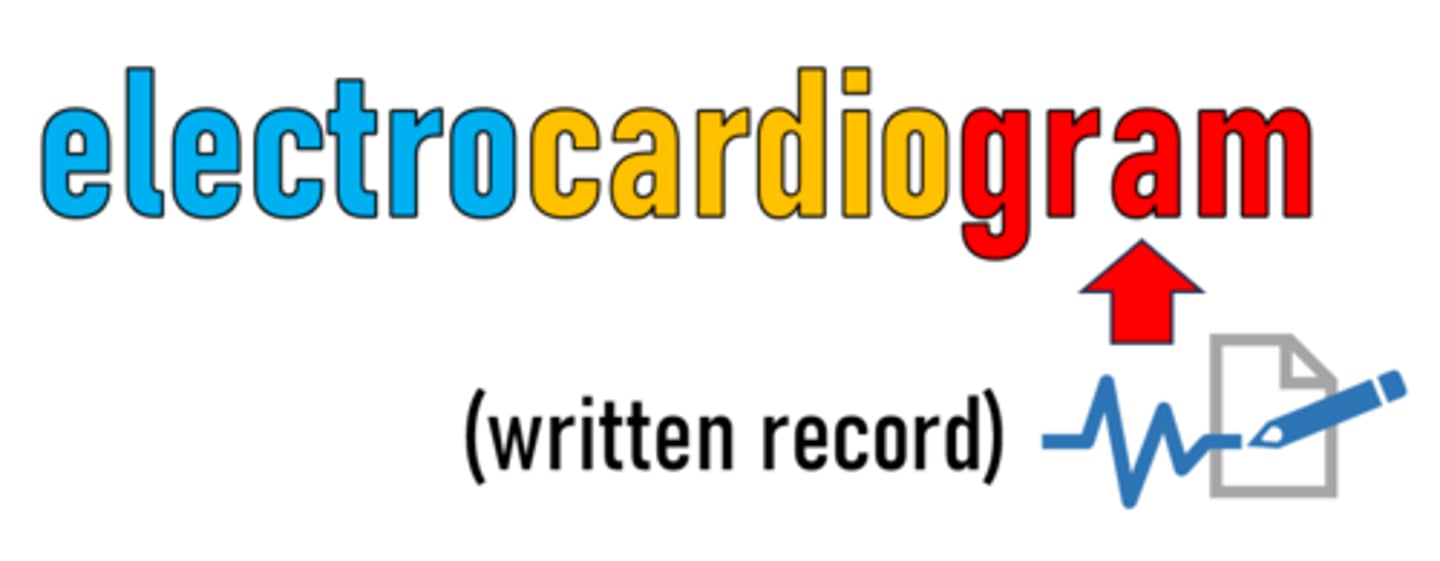 <p>the part of a word that comes after the root and alters the word's meaning</p>