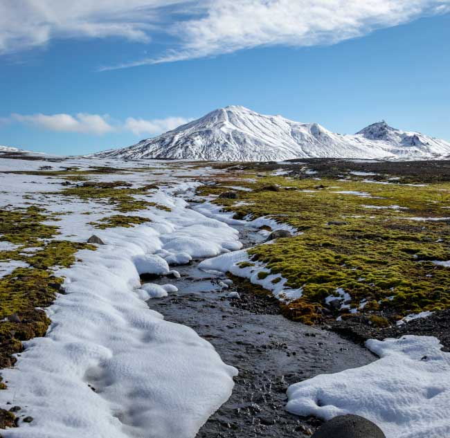 <p><strong>Outline climate conditions that characterize the tundra.</strong></p><p><em>B4.1.7: Biomes as groups of ecosystems with similar communities due to similar abiotic conditions and convergent evolution.</em></p>