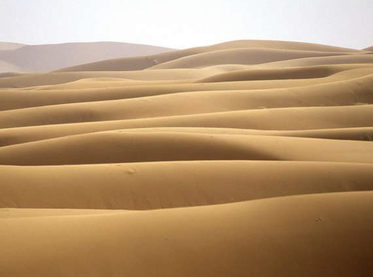 Transverse dunes (**perpendicular to wind direction**)