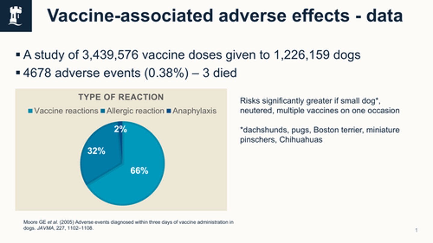 <p>Local:</p><ul><li><p>Heat, swelling, redness at vaccine site</p></li><li><p>FISS (rare)</p></li><li><p>Allergic reaction</p></li></ul><p>Systemic:</p><ul><li><p>Lethargy, loss of appetite / fever* (pregnancy loss)</p></li><li><p>severe allergic reaction/anaphylaxis (rare) Hypersensitivity</p></li></ul><p></p>