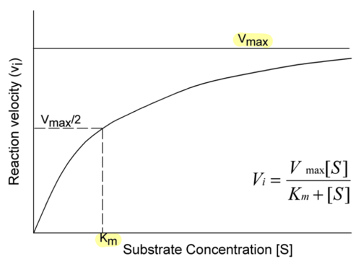 <p>increase</p>