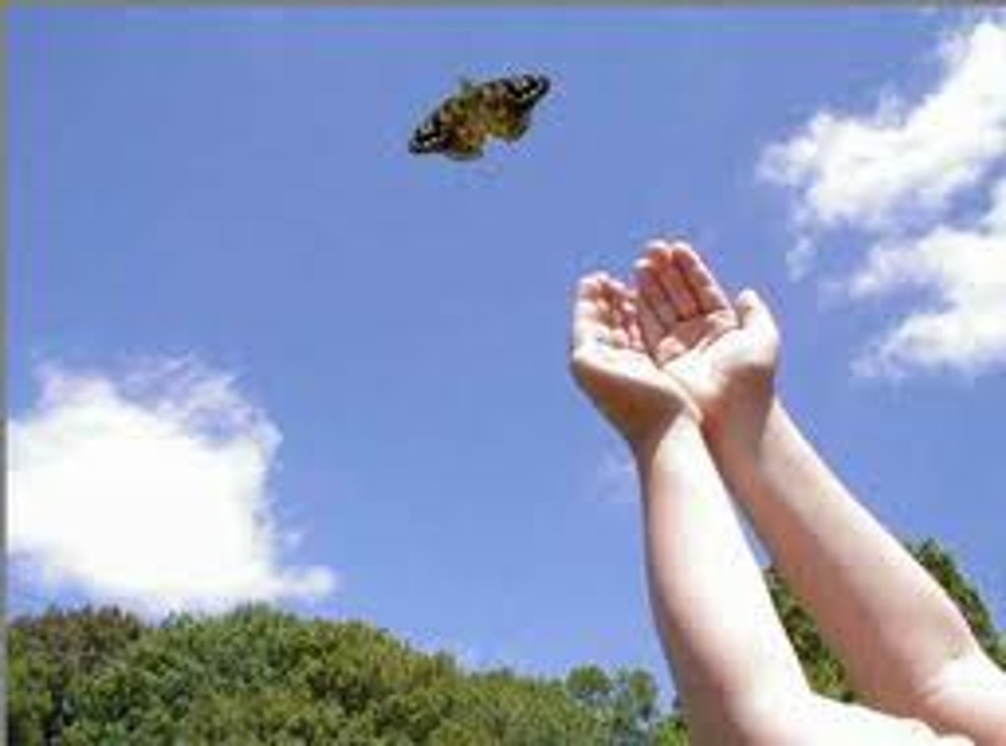 <p>hacerse libre</p>