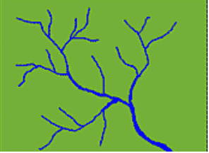 <p>What drainage pattern is this?</p>