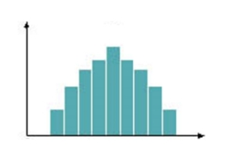 <p>What does this histogram represent?</p>