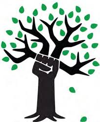 <p>Natural Rights</p>