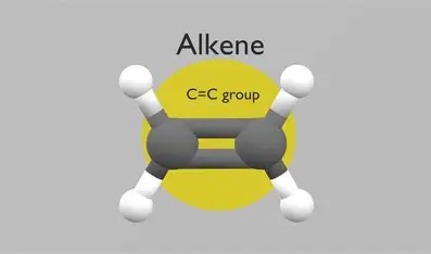 <p>Alkene </p>