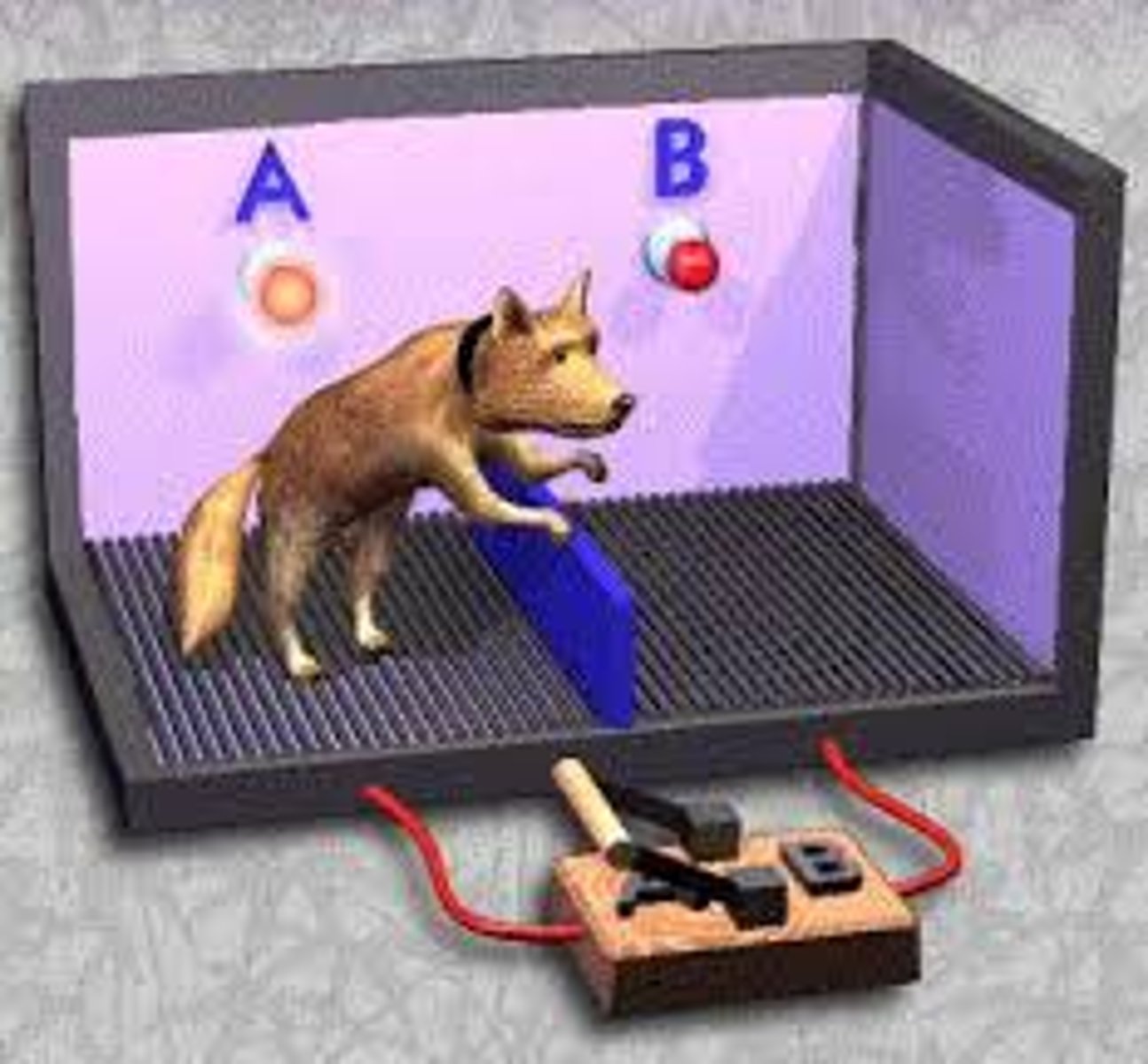 <p>showed the hopelessness and passive resignation an animal (or human) learns when unable to avoid repeated aversive events. Experiment initially done by Martin Seligman.</p>