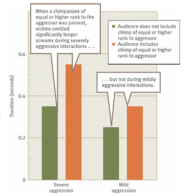 <p>What’s the main message?</p>