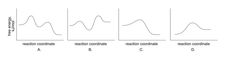 <p>Which of the following energy diagrams shows an overall exergonic reaction with one intermediate?</p>