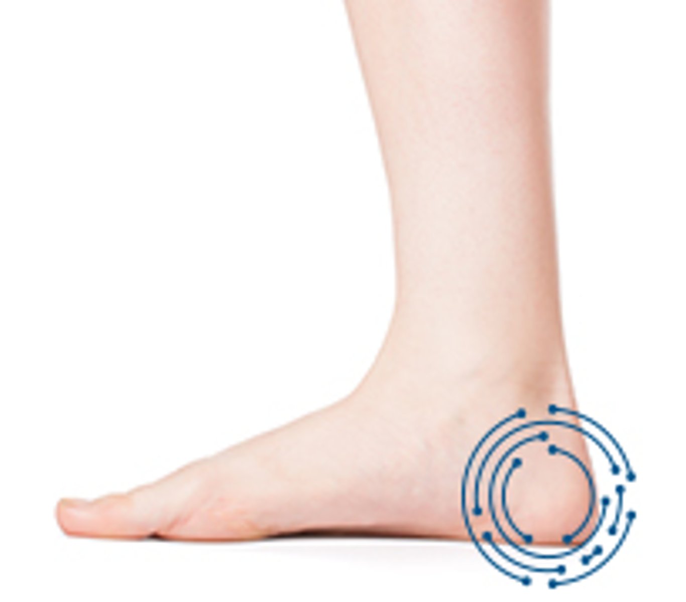 <p>the back part of your foot: gót chân</p>