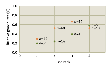 <p>What’s the main message?</p>