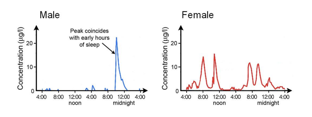 <ul><li><p>Erratic pulses</p></li></ul><p>Men:</p><ul><li><p>consistently show a large peak in <strong>early hours of sleep</strong></p></li><li><p><strong>driven by testosterone</strong></p></li></ul><p>Women:</p><ul><li><p>mean level is higher→ suggests there is other effects other than growth</p></li><li><p>but more irregular</p></li></ul><p>Childhood:</p><ul><li><p>high</p></li><li><p>rising to a peak during puberty </p></li><li><p>declining but not zero over the preiod of adult life</p></li></ul><p><em>exercise an other metabolic cues also promote release</em></p><p></p>