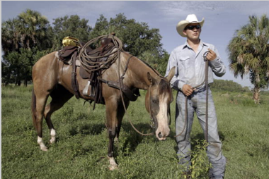 <p>What is this?</p>