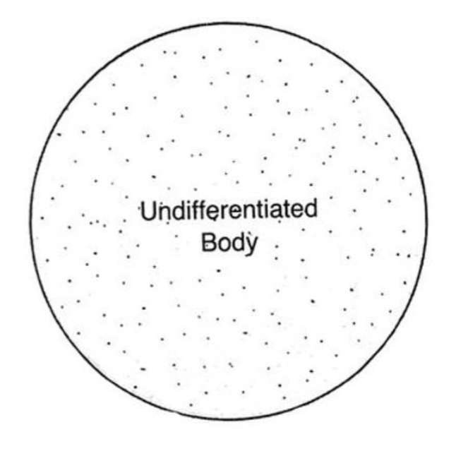 <p>Smaller than ~ 10 km</p>