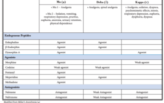 <p>Pharmacodynamics for opium</p>