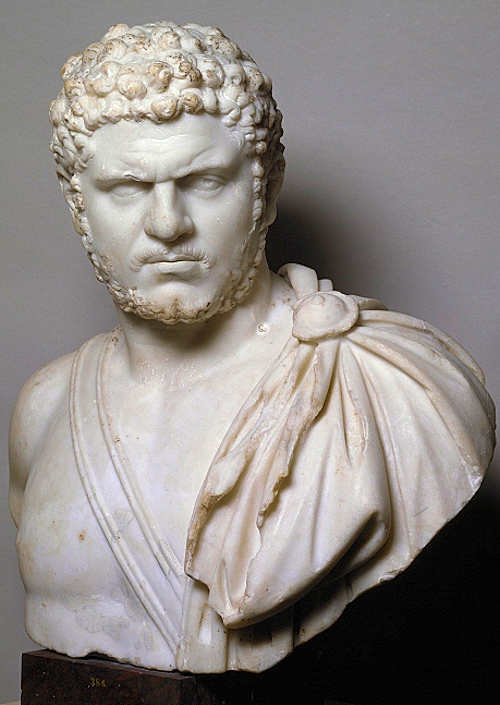 <p>head of carracala</p>