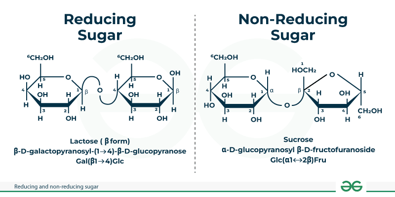 <ul><li><p>Can undergo reactions which normal sugars cannot (caramelization, maillard)</p></li><li><p>They can open up their ring </p></li><li><p>It can reduce other reactants</p></li><li><p>OH group is free on the anomeric carbon (not bonded to another molecule)</p></li><li><p>e.g. lactose = reducing</p></li><li><p>e.g. saccharose = not reducing, has no reducing ends</p><ul><li><p>When it hydrolyses, it can react in a reducing reaction</p></li></ul></li></ul><p></p>
