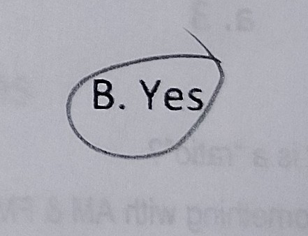 <p>YES</p>