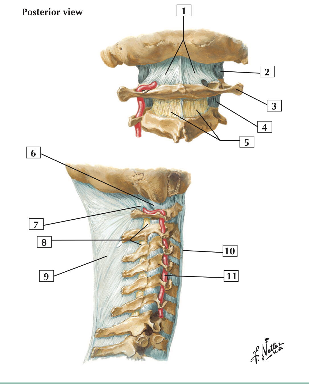 <p>1</p>